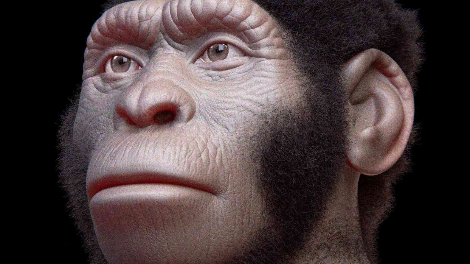 Nelle grotte della Stella nascente i primi “disegni” dell’umanità?