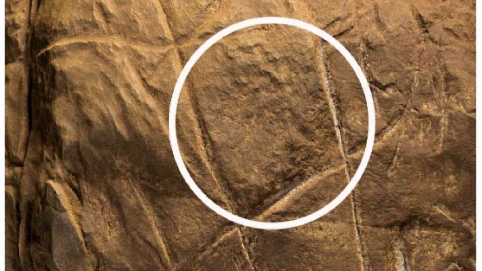 I segni di Naledi, domande dell'uomo