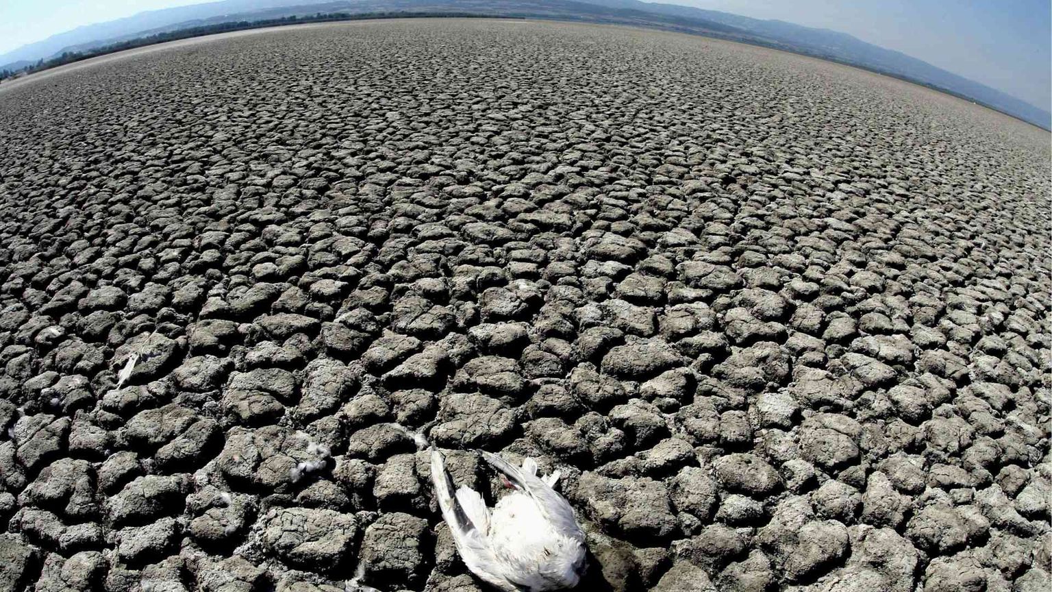 La desertificazione «globale» minaccia 168 Paesi
