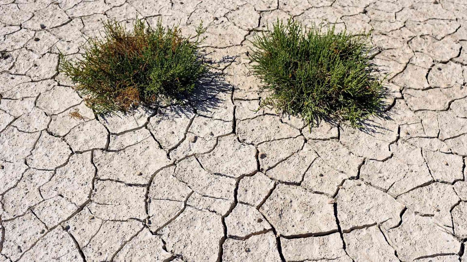 Luglio 2023 è il mese più caldo, superato il limite fissato da Parigi