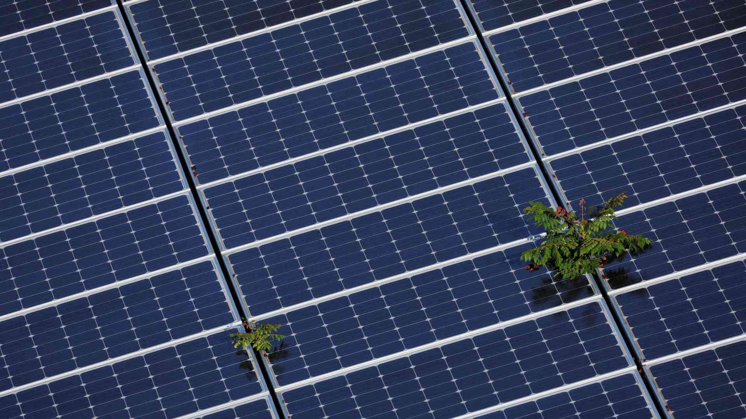 Il boom dei Ppa, così le imprese congelano le bollette