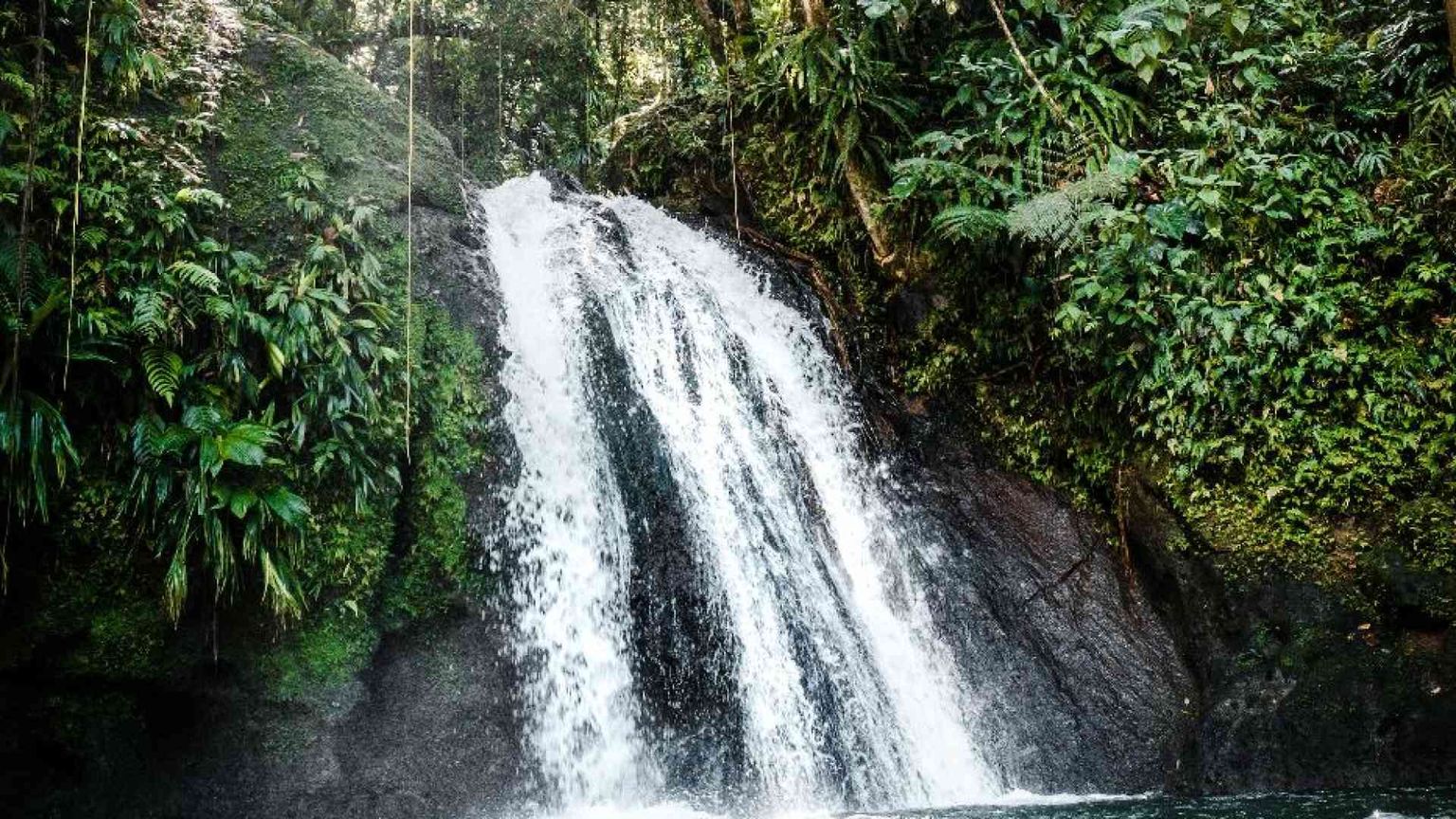 Via i debiti per un po' di natura: lo scambio che aiuta i Paesi fragili