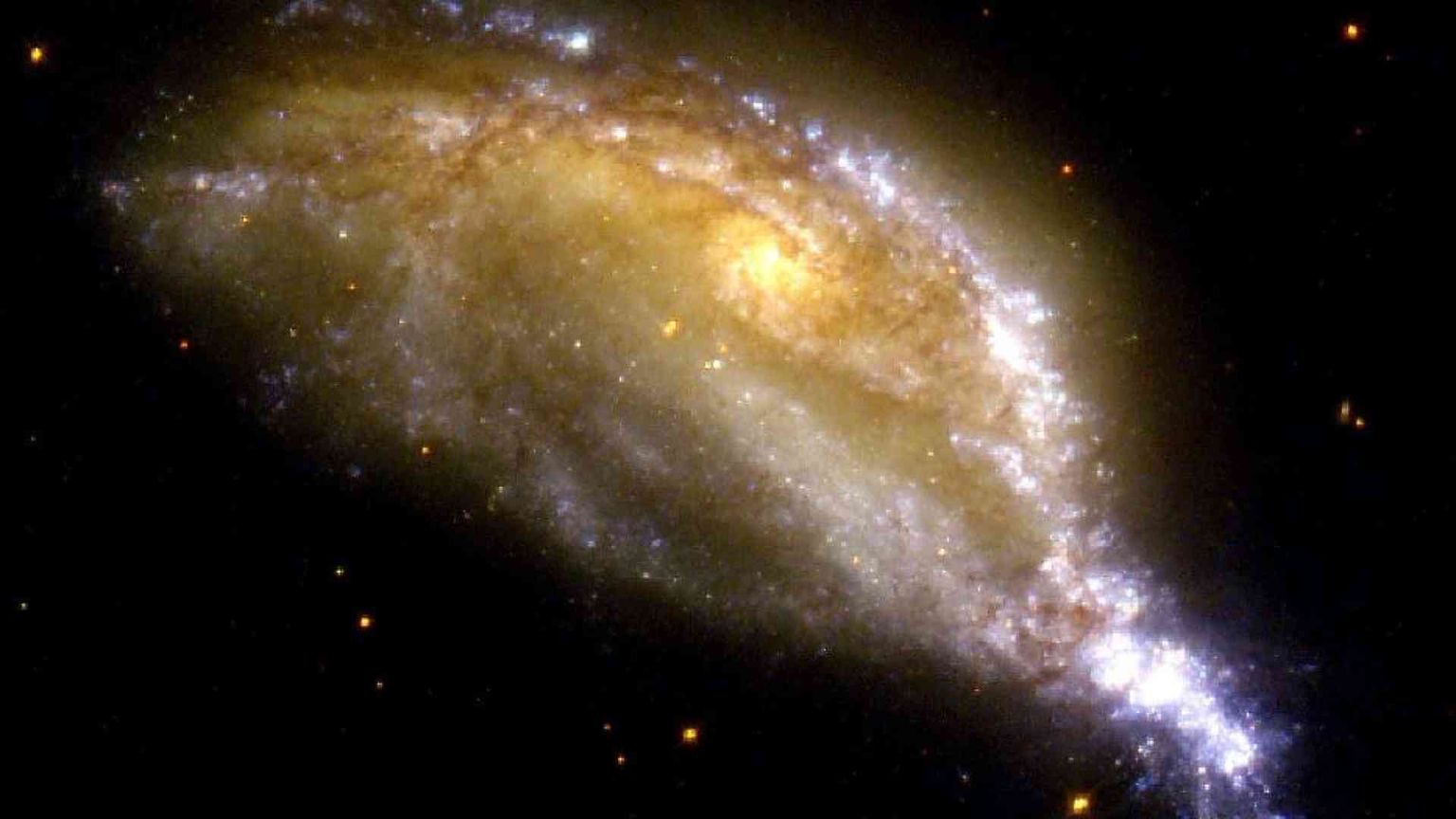 L'evoluzione? «Legge che vale in tutto l'universo»