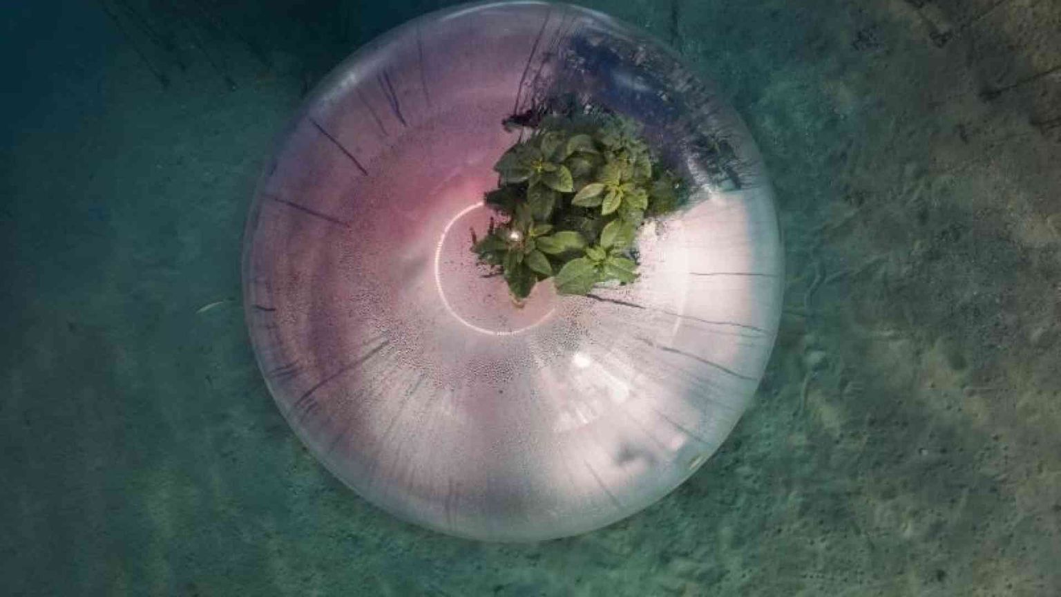 Tutti dentro al grande cerchio: viaggio nel futuro possibile