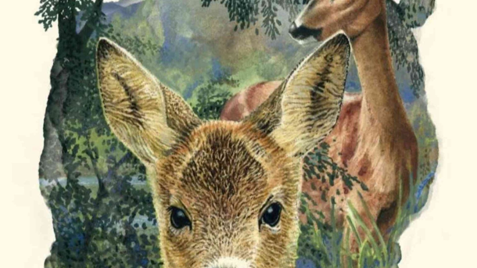 Cento anni di "Bambi", che incantò Disney ma non era un libro per bambini