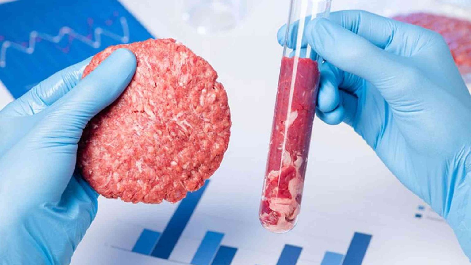 La startup trentina Bruno Cell: «Ci corteggiano dall’estero»