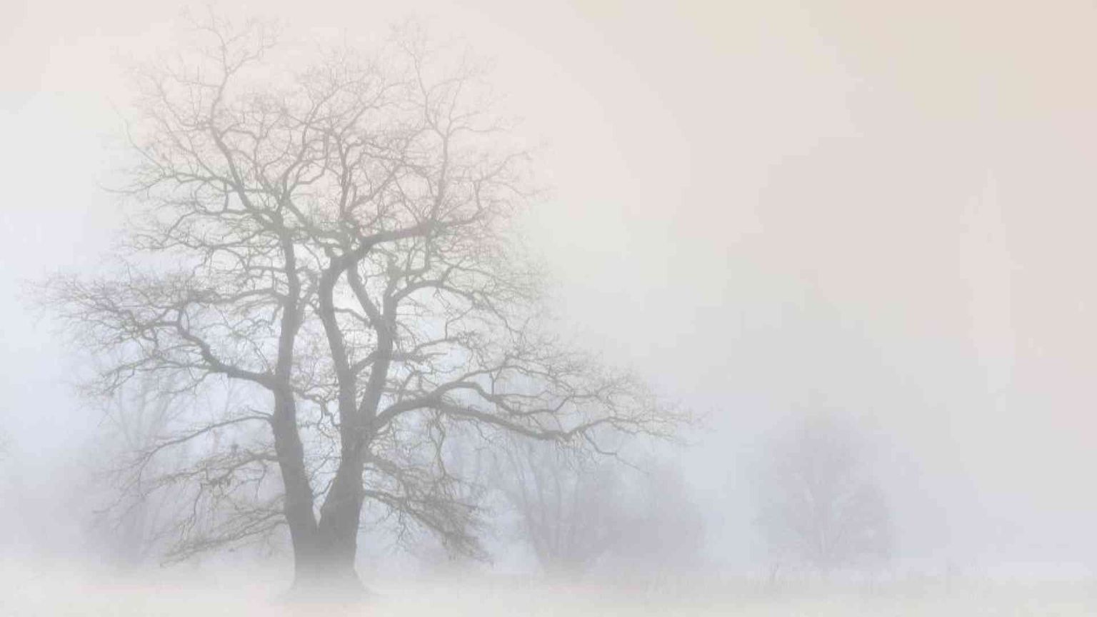 A Piacenza il festival della nebbia. Che può insegnare tante cose