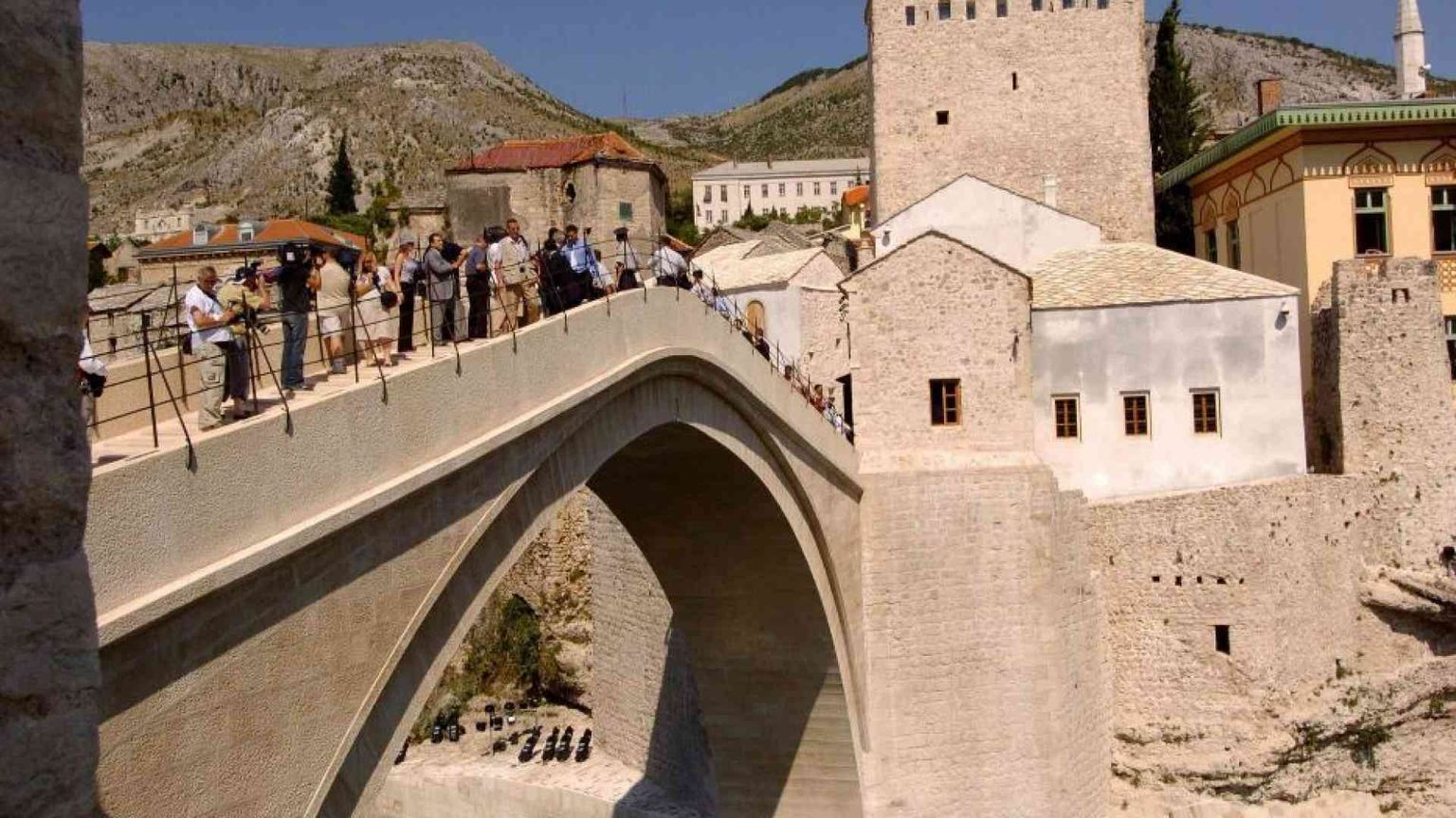 L'essenza della scuola? Un ciliegio in fiore che ci attende