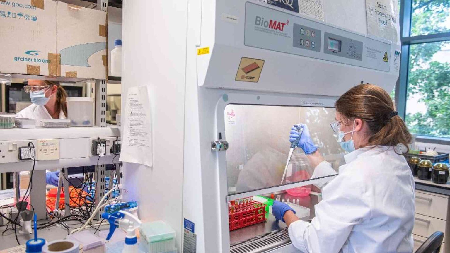 È già un 2024 di grandi scoperte nella lotta al cancro