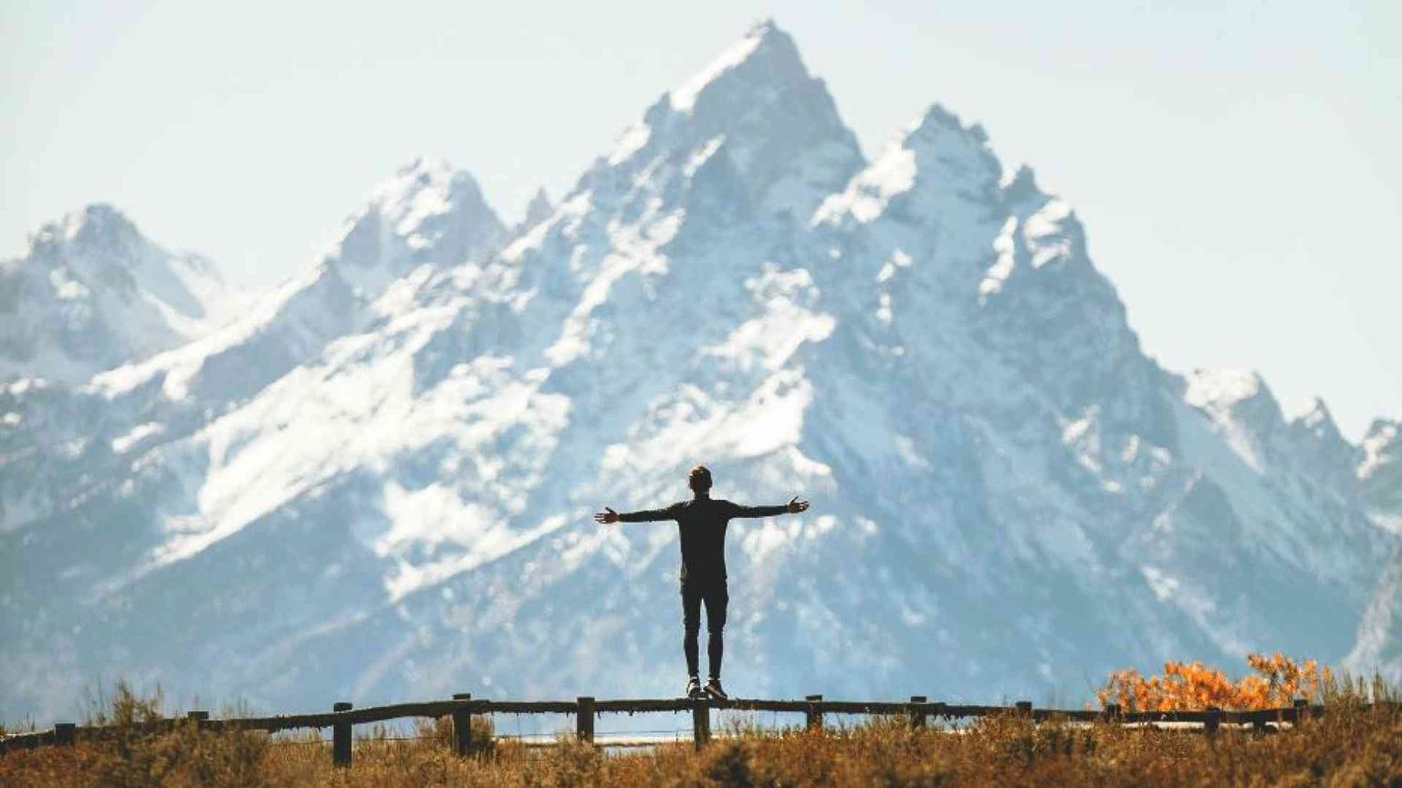 Dopo l'antropocentrismo: equilibrio cercasi tra uomo e altri viventi