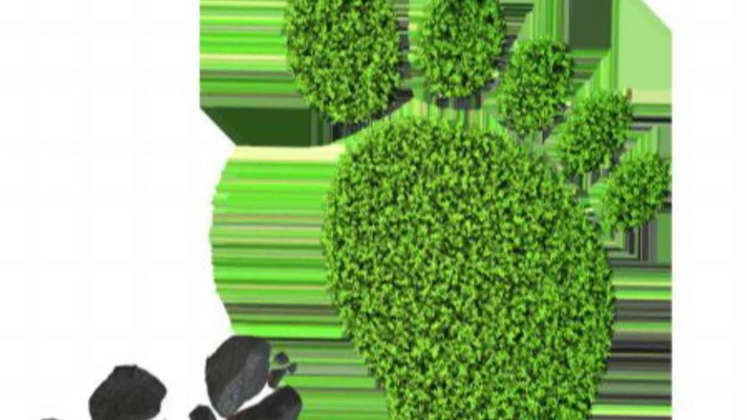 La nostra impronta sul pianeta: possiamo consumare meno Terra?