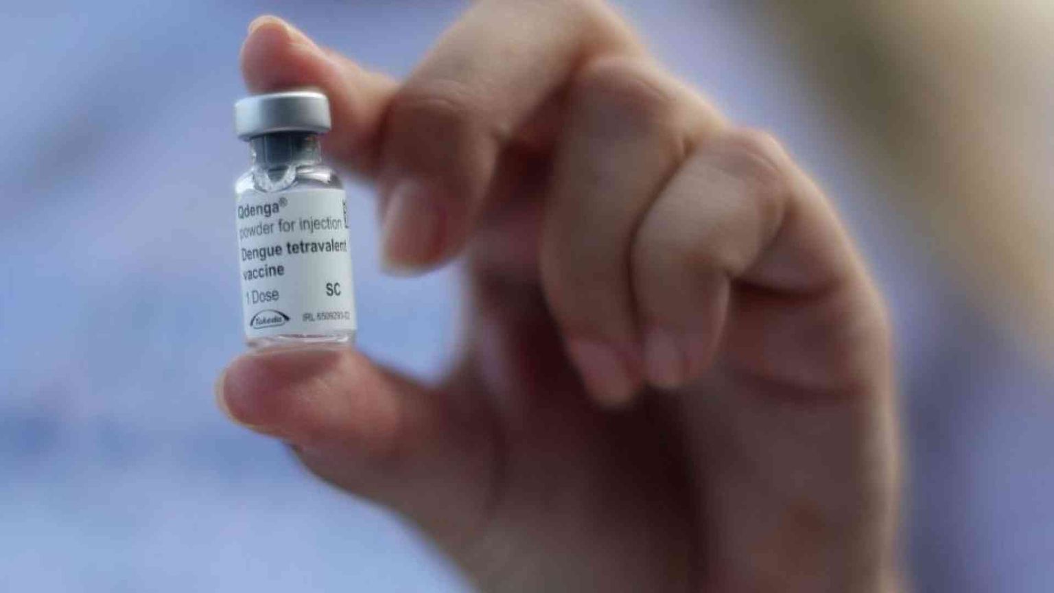 Ospedali al collasso in Brasile per la Dengue. Le contromisure in Italia