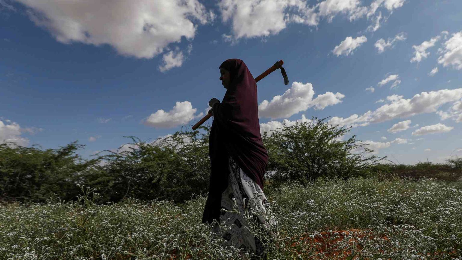 Investimenti green, solo l’Europa resiste alla crisi