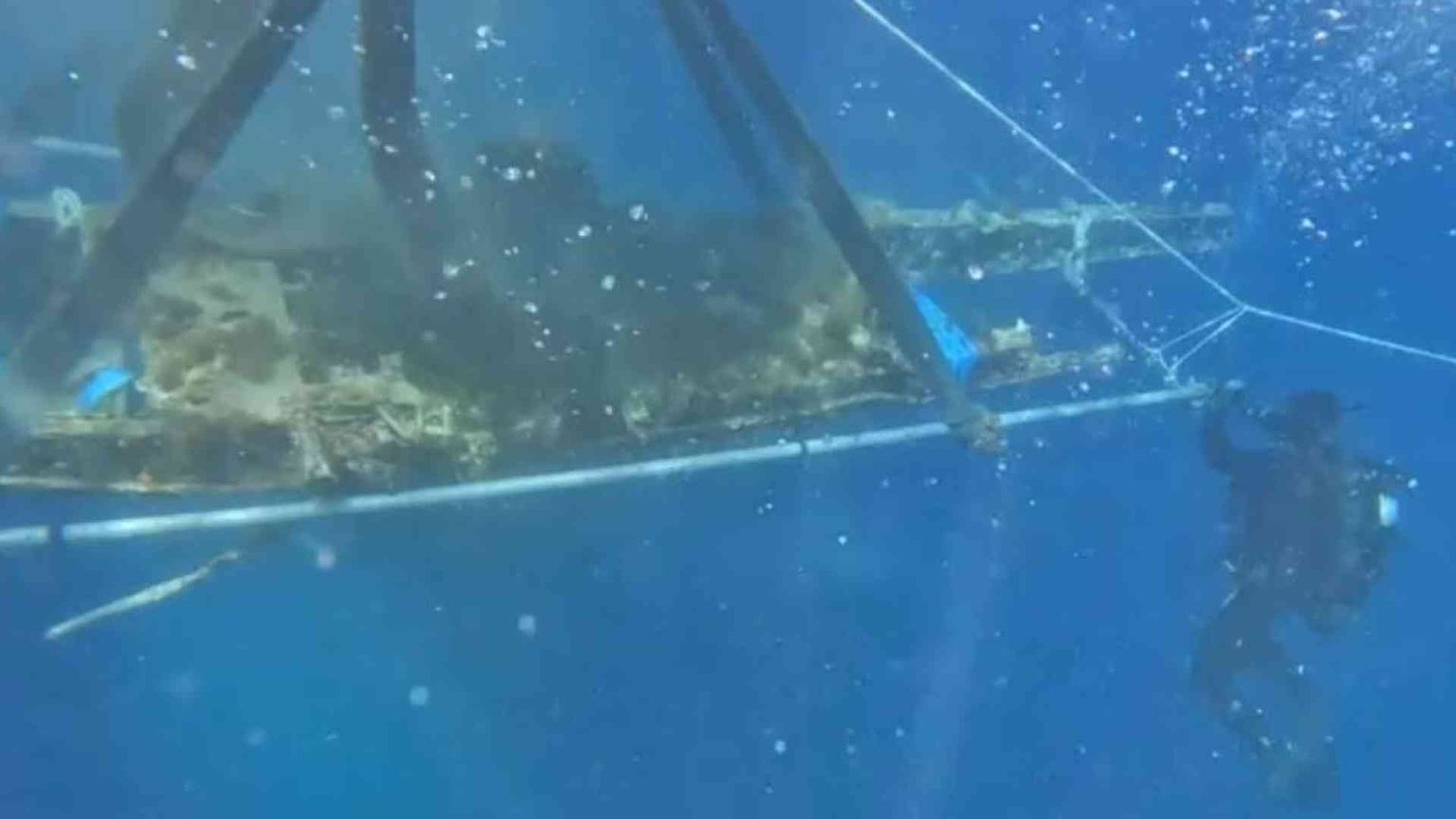 Dal mare di Pantelleria riemerge l’aereo dell’asso Alvise Andrich