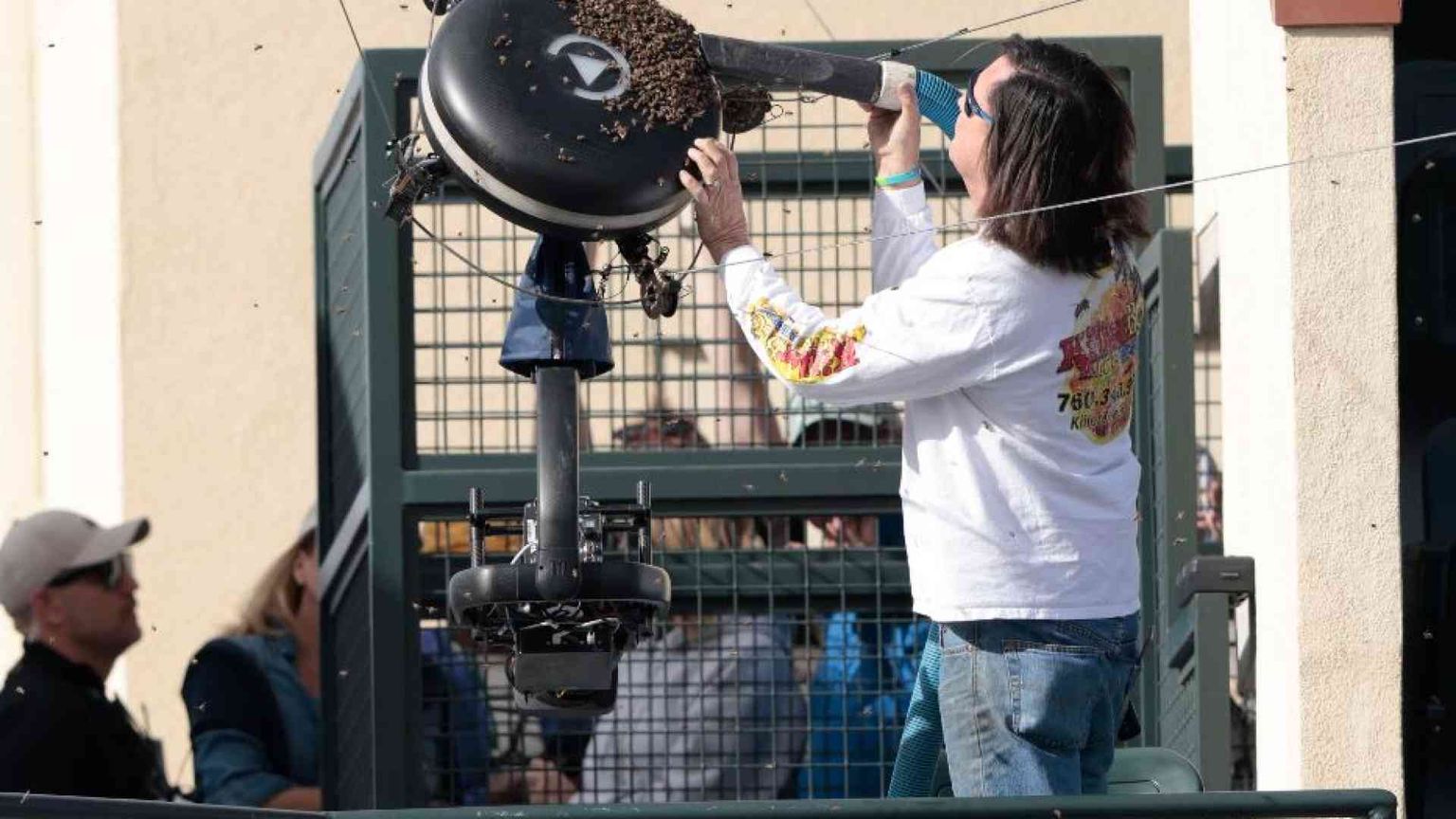 Tennis, il torneo sospeso per invasione di api