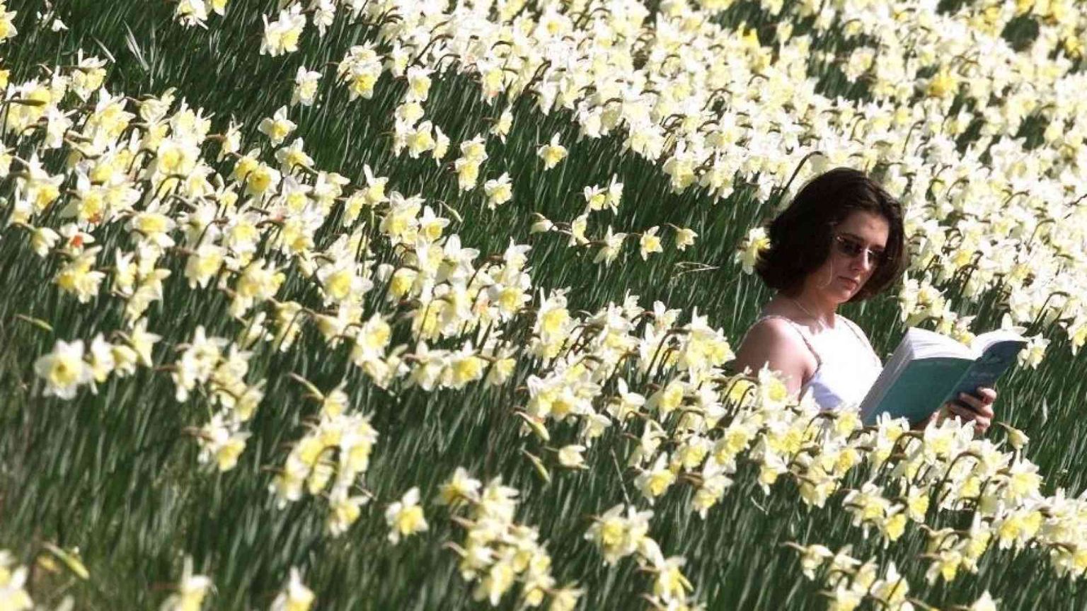 Bentornata alla primavera, che non fa più notizia (e non è mai maledetta)