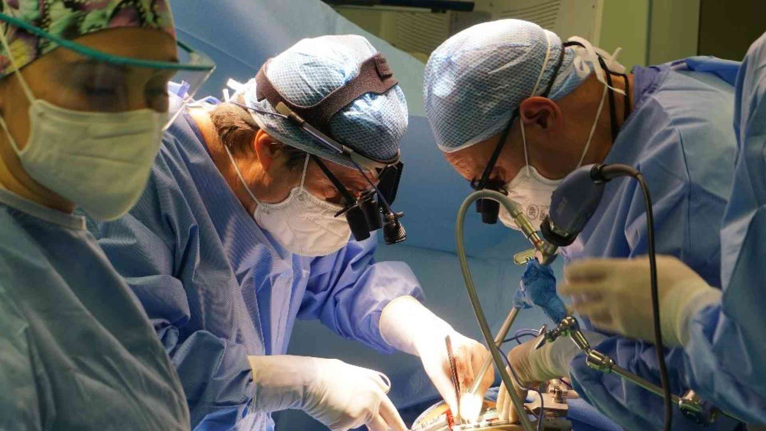 Xenotrapianti, una frontiera che si avvicina