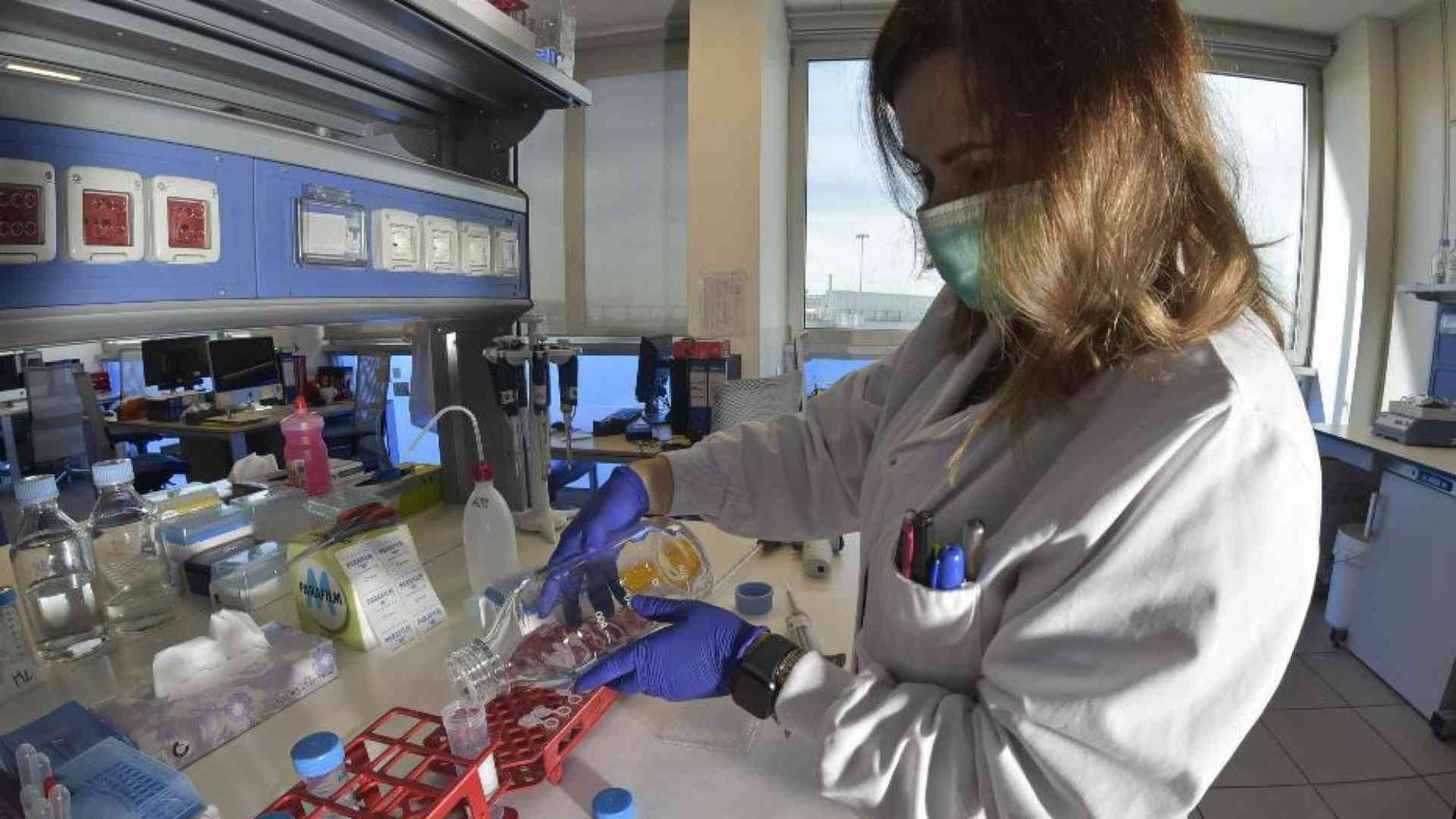 Cancro del colon retto, così l’aspirina “scova” le cellule maligne