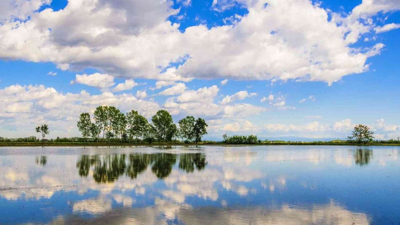 La rivincita della campagna: il fascino sempreverde di Lomellina e Oltrepò