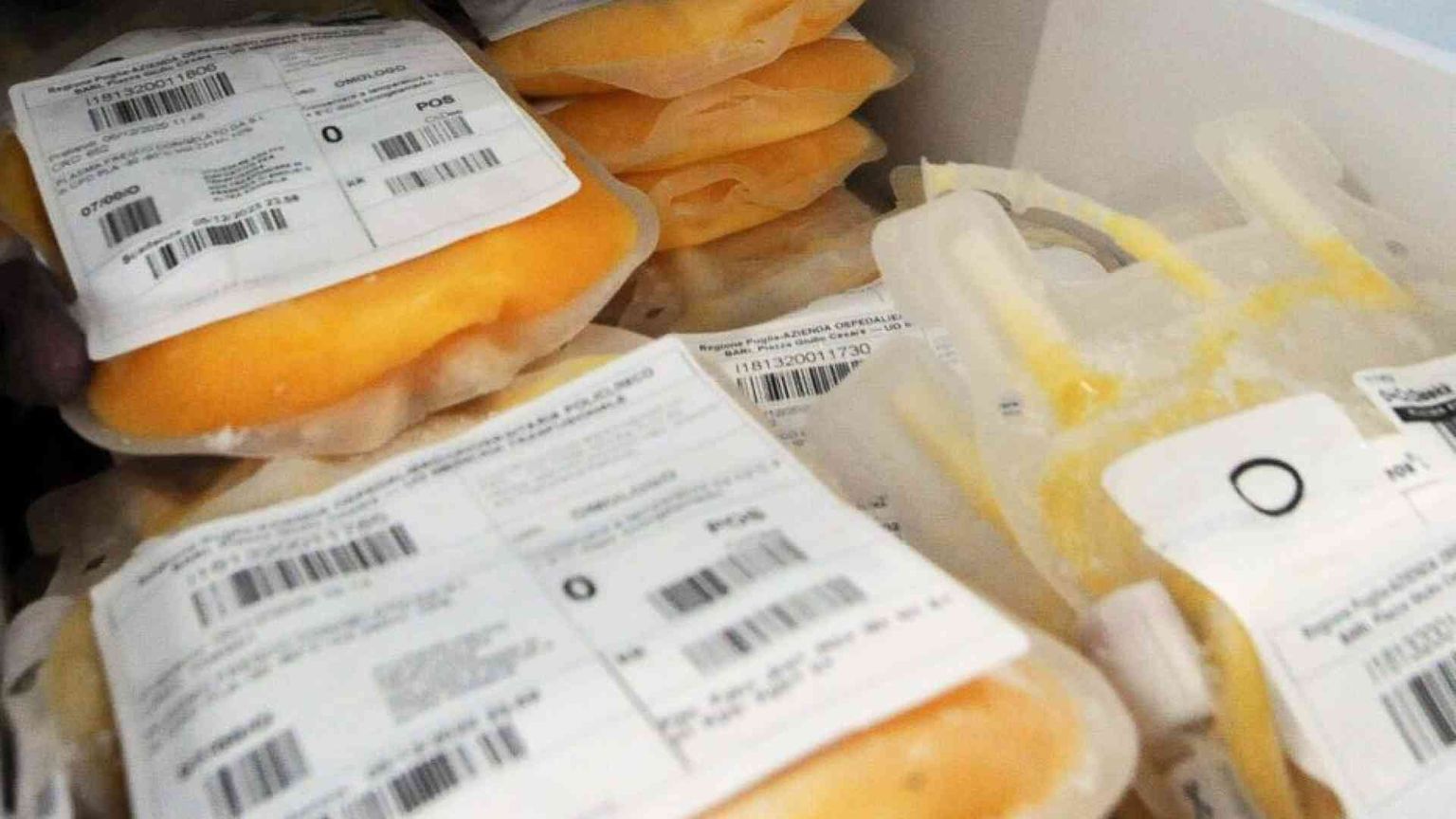 Sangue: record storico di donazioni. E allora perché c'è carenza di plasma?