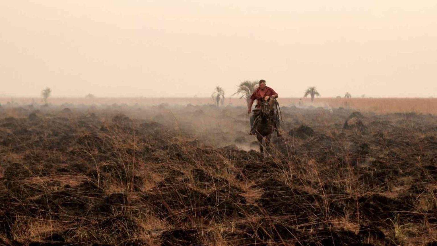 El Niño e La Niña in altalena non sono una buona notizia per il cibo