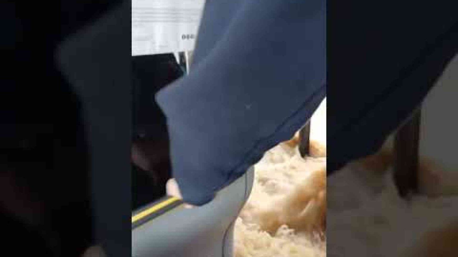 Nubifragio sulla Lombardia: esondano Lambro e Seveso, paura a Gessate