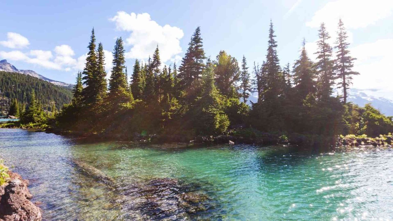 Dire grazie fa sempre bene al cuore