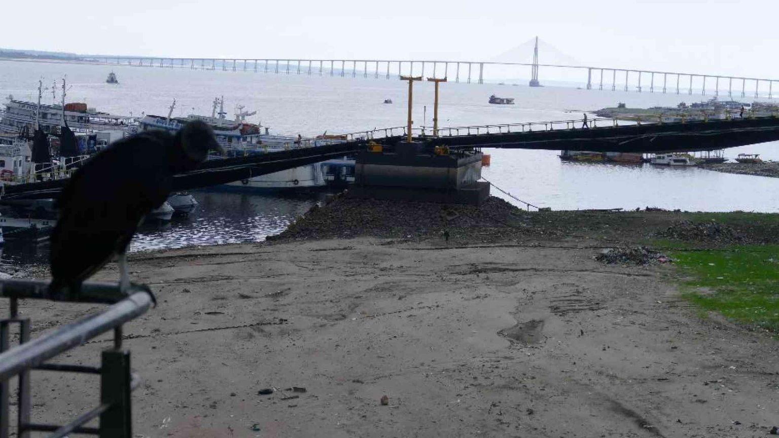 Emergenza clima, a rischio 3,6 miliardi di persone