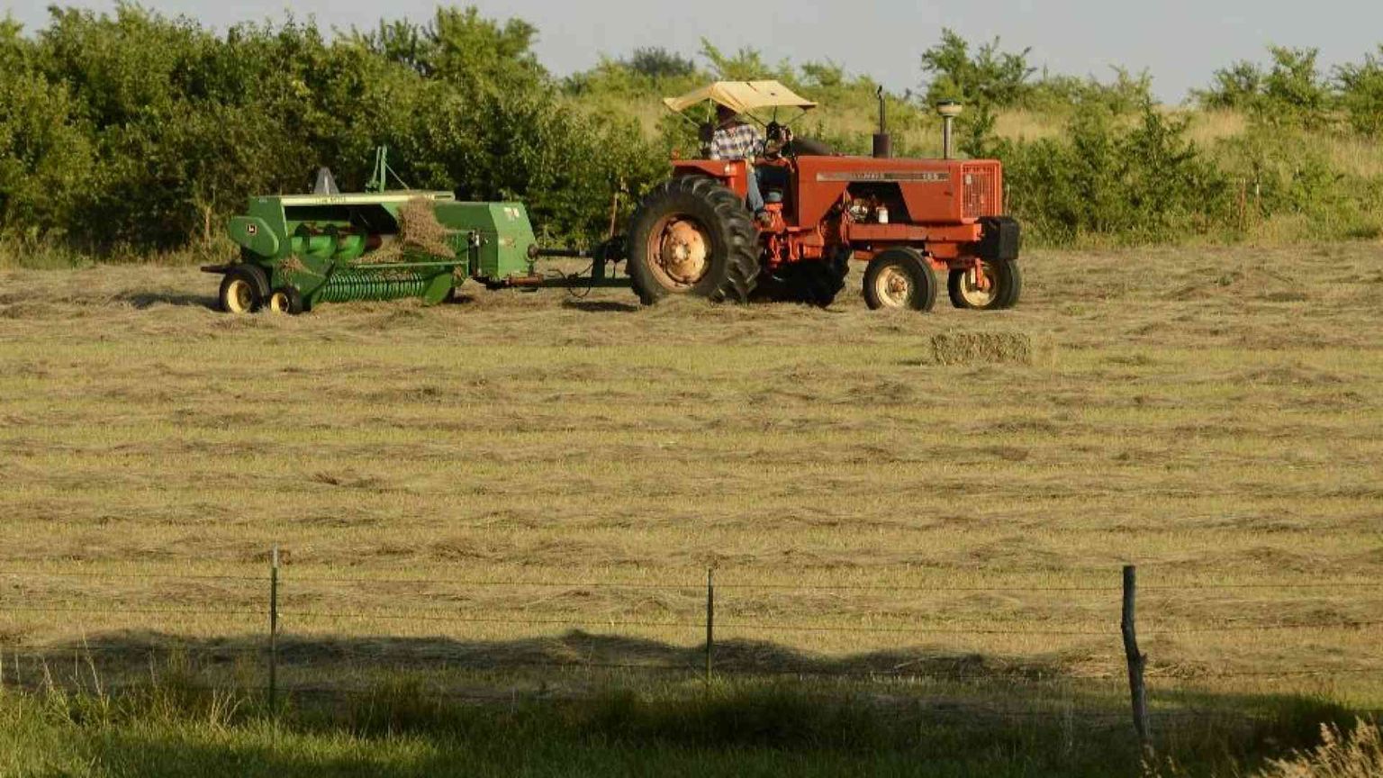 Campi e biodiversità: che cosa c'è nei programmi dei partiti