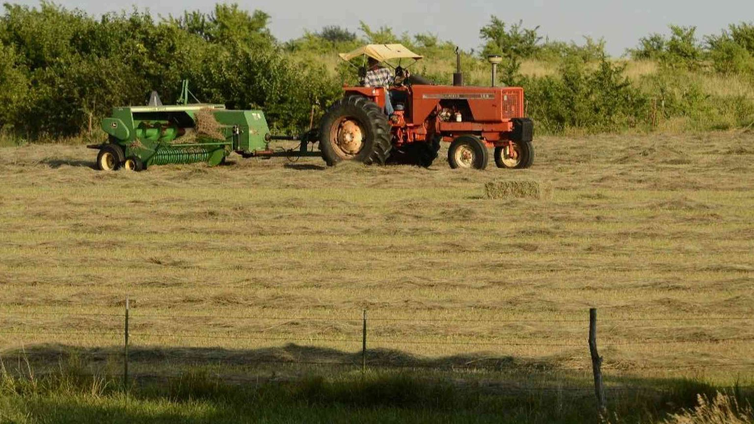 Dalla pace all'ambiente fino al lavoro: i programmi per l'Europa