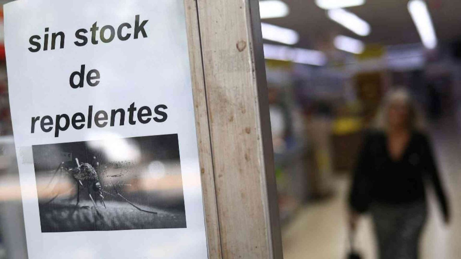 Quel che c'è da sapere sulla febbre Oropouche che è arrivata in Veneto