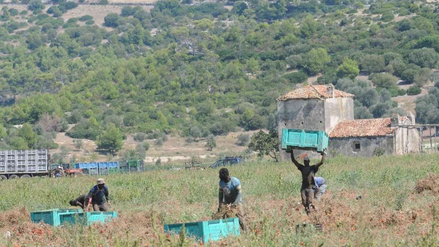 Irregolari nei campi? Solo uno su quattro