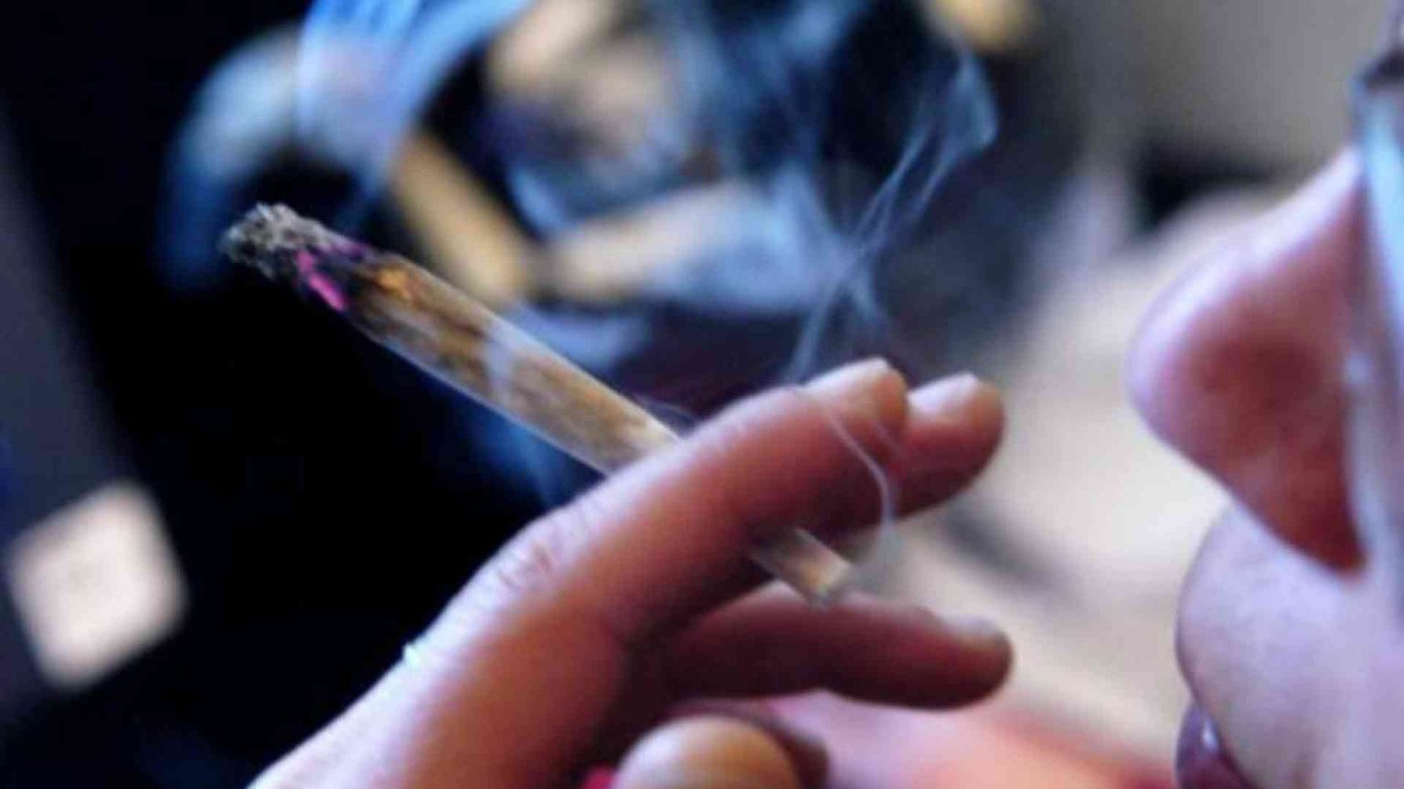 Droga, nel mondo 292 milioni di consumatori: aumentati del 20% in 10 anni