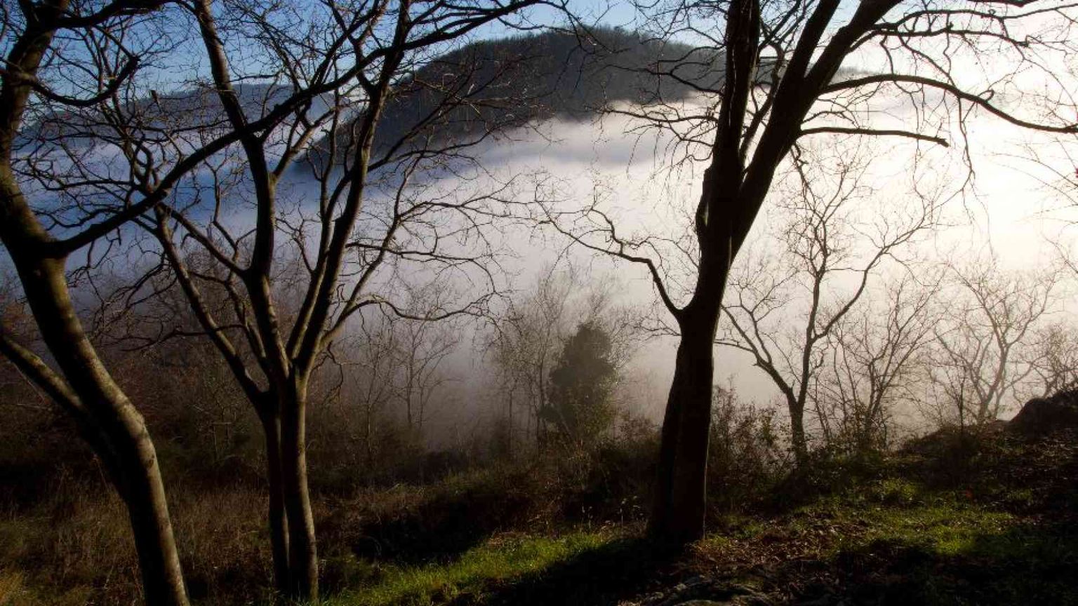 I Colli Euganei entrano nel patrimonio della biosfera Unesco