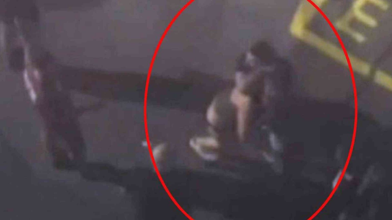 Giornalista aggredito, Meloni: «Violenza inaccettabile»