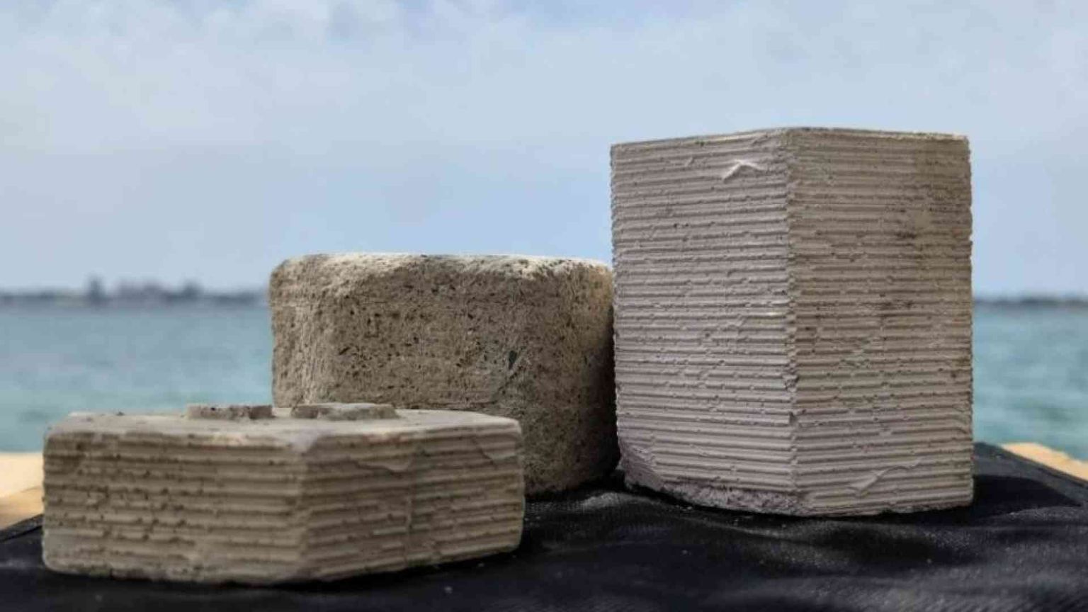 Dai gusci delle cozze si fa un cemento ecosostenibile