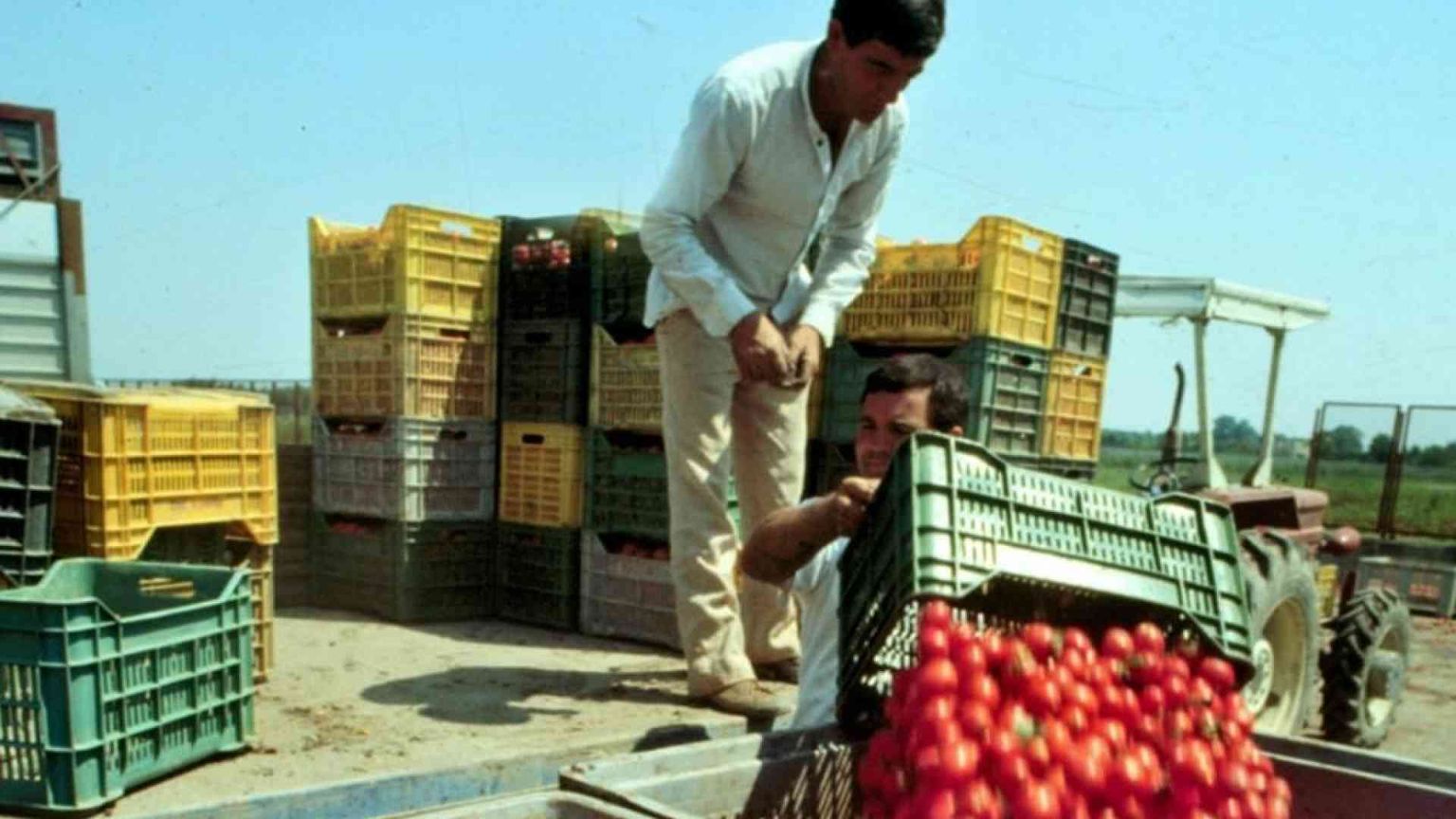 Controlli in un migliaio di aziende, il 53% è irregolare