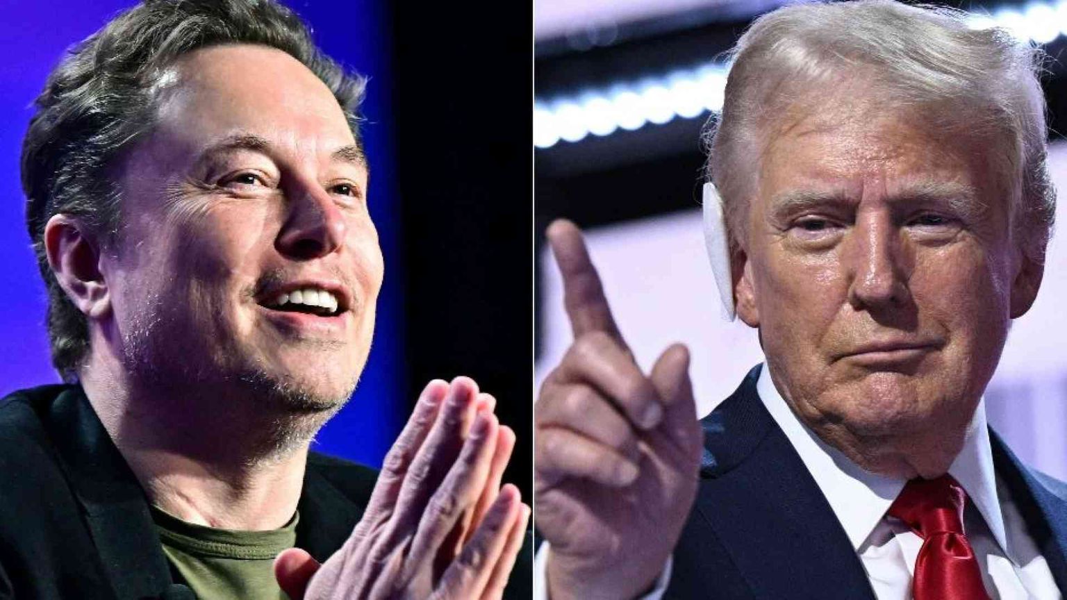 Musk-Trump: il Gatto e la Volpe della politica Usa. Ecco perché