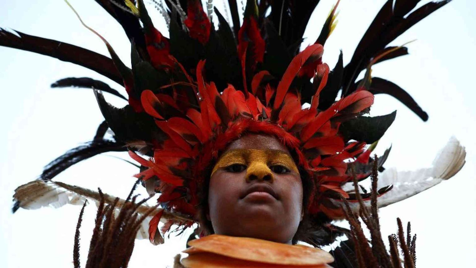 L'Uccello del Paradiso, simbolo nel bene e nel male