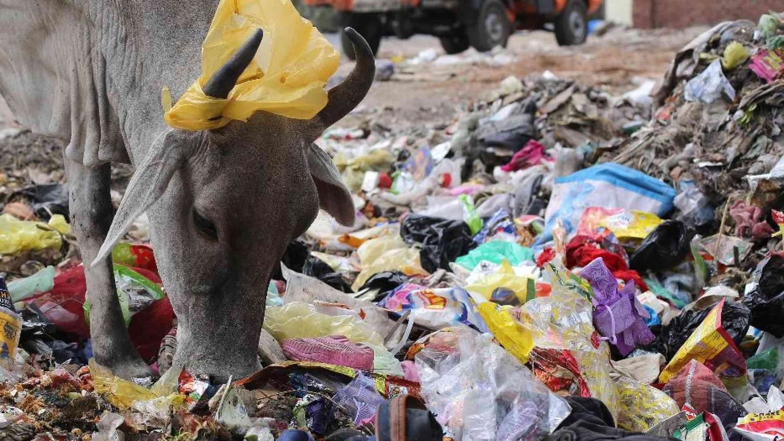 È l'India il Paese che più inquina al mondo per la plastica