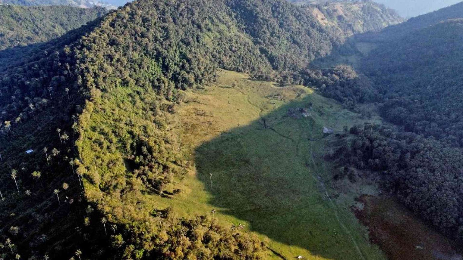 Nel 2023 uccisi 200 attivisti ambientali, quasi tutti in Sudamerica