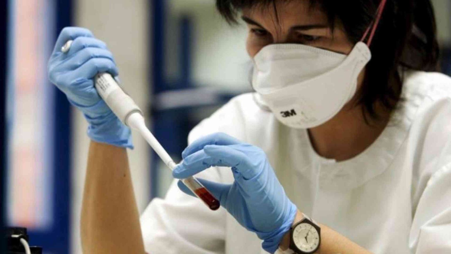 L'aviaria sorvegliata speciale. La sfida di evitare una nuova pandemia