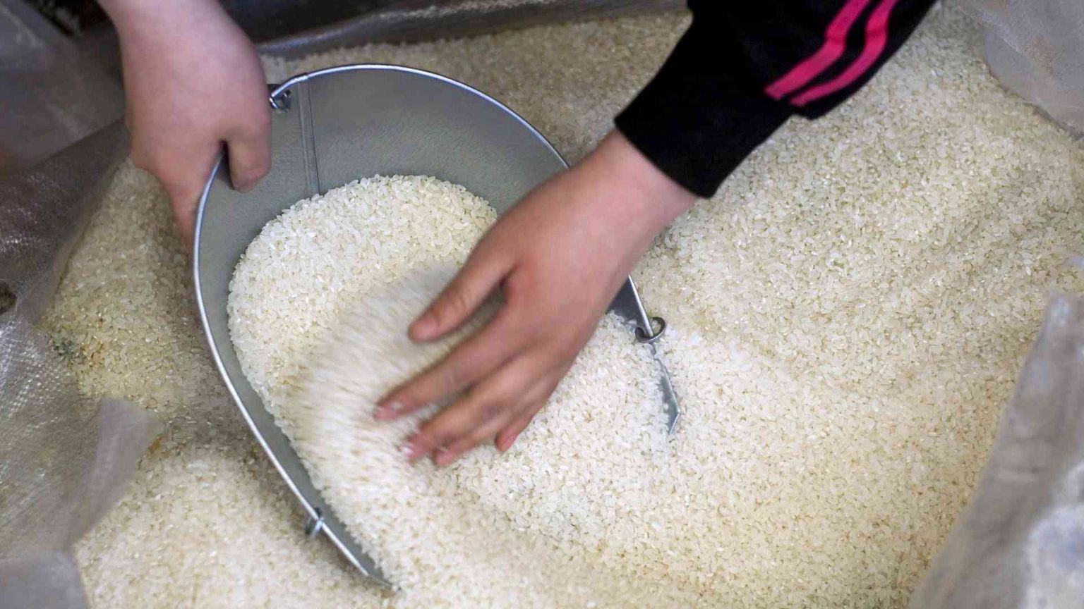 Dal riso cambogiano all'acciaio cinese, nuovi fronti per la guerra dei dazi