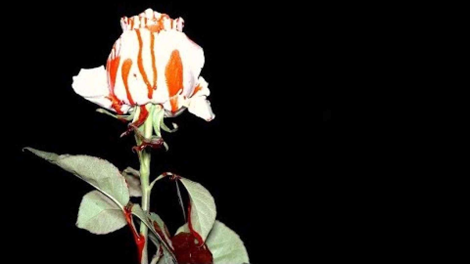 Un sacerdote e il superboss: un libro (anche) su Caino e Abele