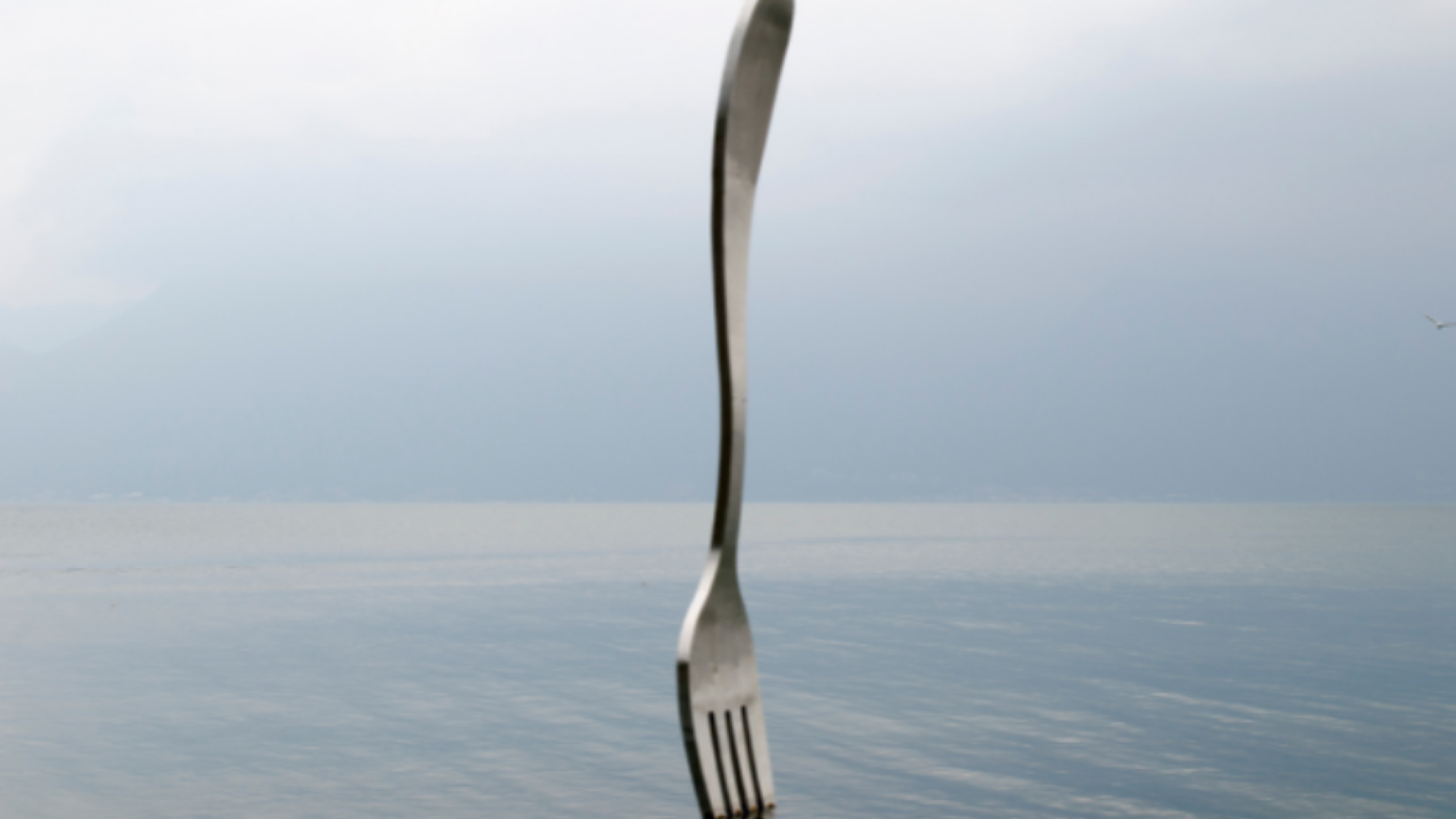 Dalla poesia alla “teologia della forchetta”: i passaggi da non perdere