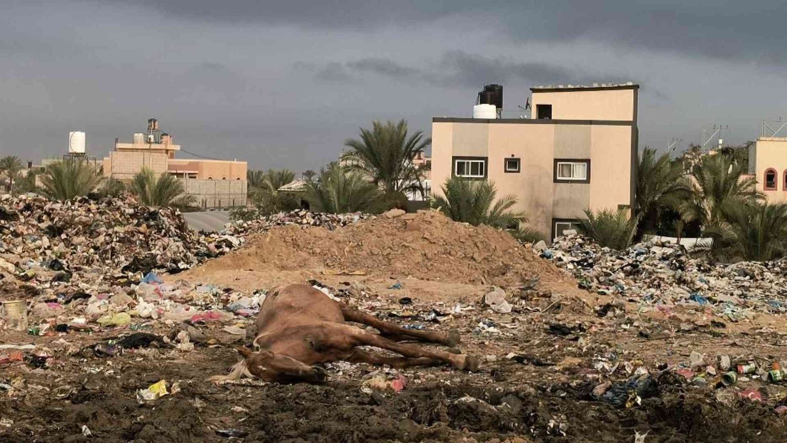 «Gaza è sommersa di rifiuti. Anche ospedalieri»