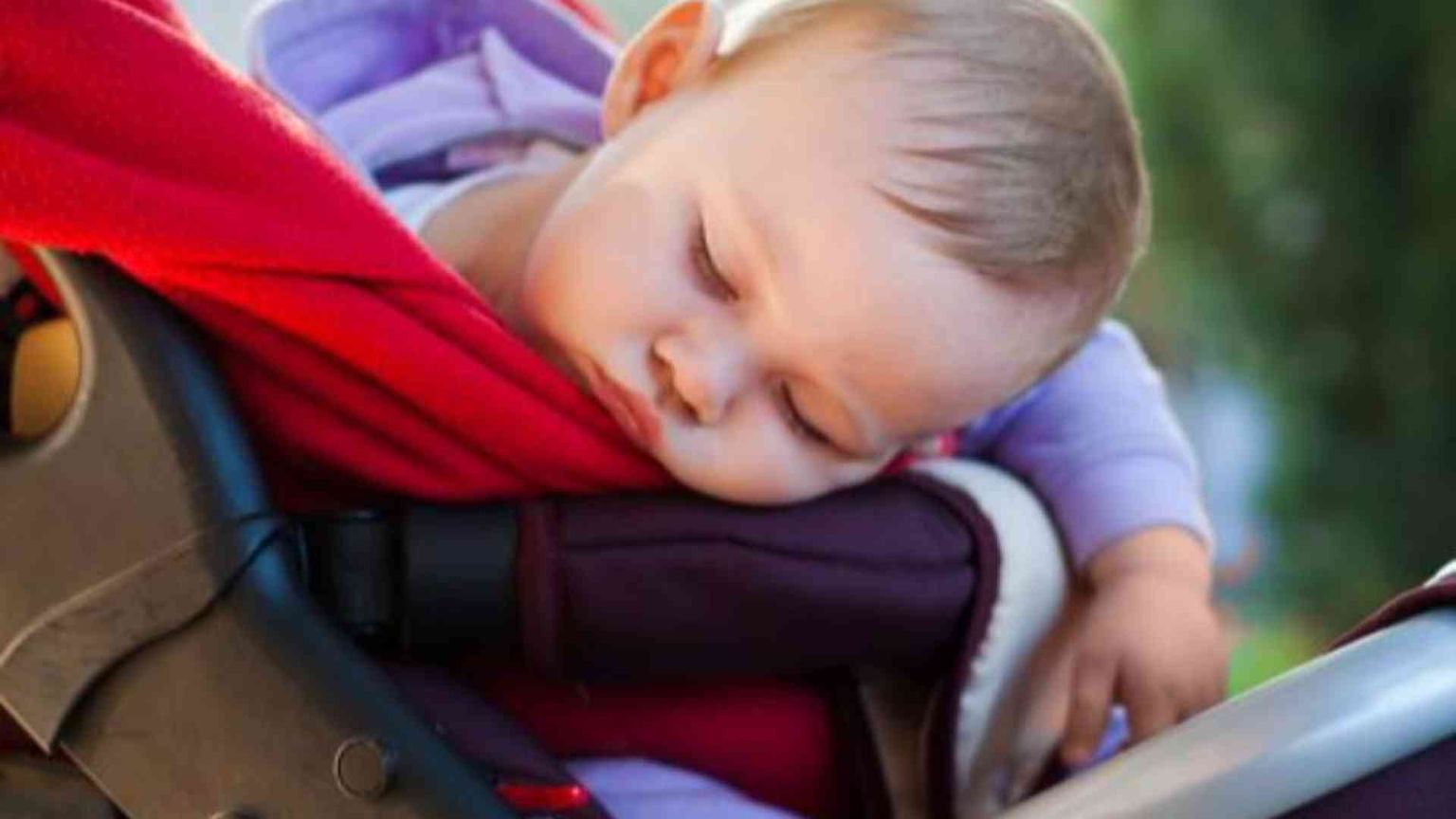 Perché Sicilia e Sardegna sono agli opposti in fatto di nascite