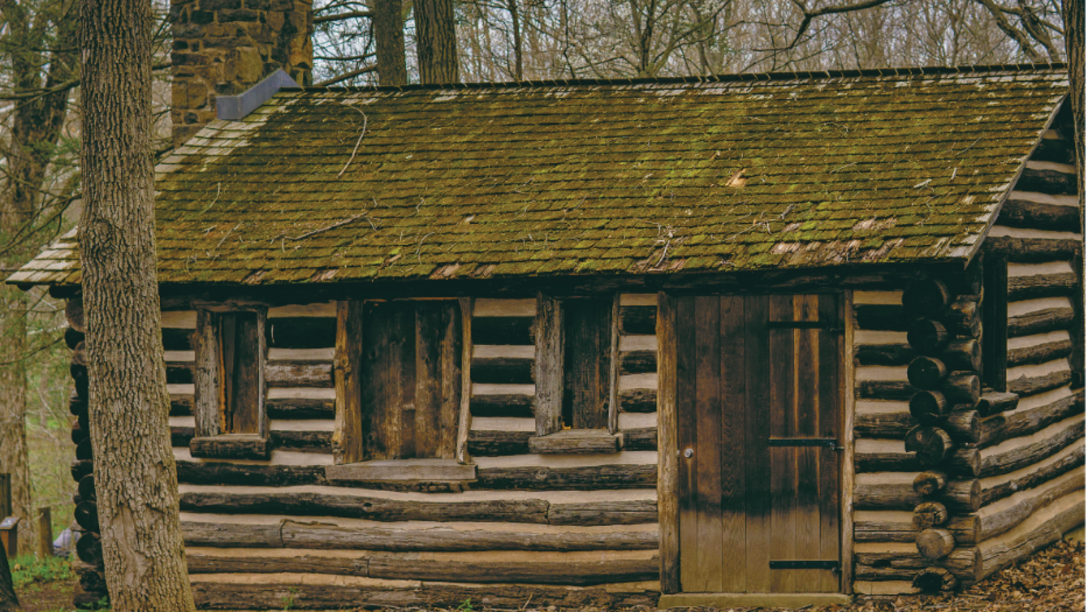 Will Jones: «Così mi sono costruito una casa nel bosco»
