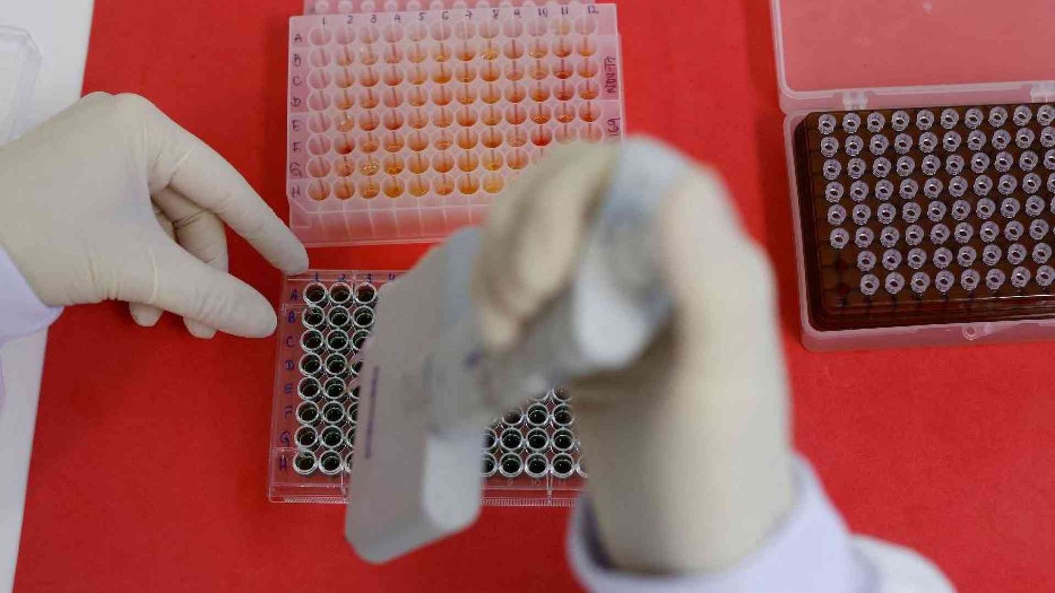 In Congo una malattia sconosciuta uccide decine di persone