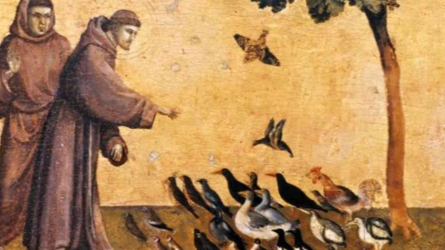 Il Cantico delle Creature, da 800 anni voce di speranza